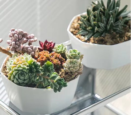 Eenvoudige Bloempot voor Binnen – Kunststof Plantenpot met Grote Opening en Bodembak