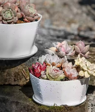 Eenvoudige Bloempot voor Binnen – Kunststof Plantenpot met Grote Opening en Bodembak