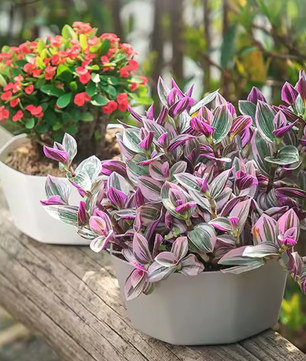 Eenvoudige Bloempot voor Binnen – Kunststof Plantenpot met Grote Opening en Bodembak