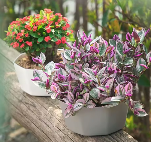 Eenvoudige Bloempot voor Binnen – Kunststof Plantenpot met Grote Opening en Bodembak