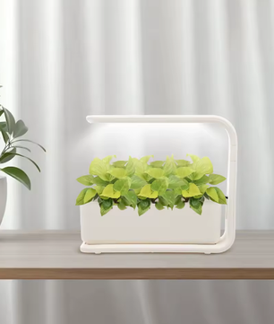Hydrocultuur Planter met LED Grow Light – Indoor Kruiden Kweekset voor Keuken en Vensterbank