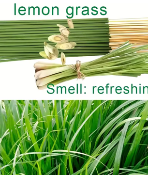 Citroengras Aroma Sticks – Natuurlijke Geurstokjes voor Huis en Kantoor