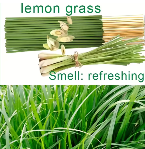 Citroengras Aroma Sticks – Natuurlijke Geurstokjes voor Huis en Kantoor