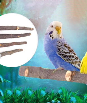 Natuurlijke Houten Vogel Zitstok – Papegaai Zitstok met Platform voor Vogelkooi