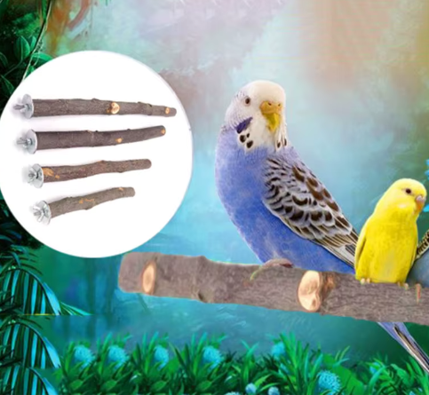 Natuurlijke Houten Vogel Zitstok – Papegaai Zitstok met Platform voor Vogelkooi