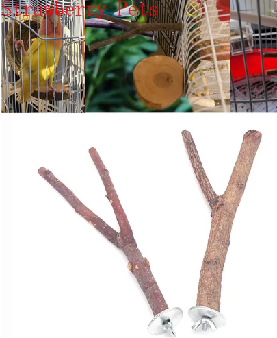 Natuurlijke Houten Vogel Zitstok – Papegaai Zitstok met Platform voor Vogelkooi