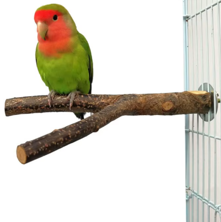 Natuurlijke Houten Vogel Zitstok – Papegaai Zitstok met Platform voor Vogelkooi