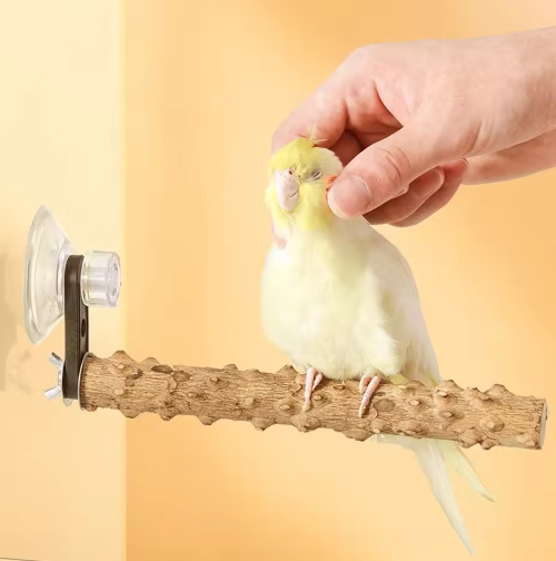Houten Vogelbaars met Zuignap voor Raam, Spiegel en Douche – Natuurlijke Zitstok voor Huisdier Vogels
