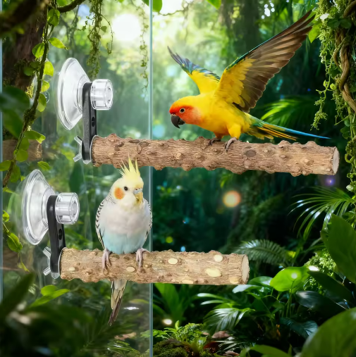 Houten Vogelbaars met Zuignap voor Raam, Spiegel en Douche – Natuurlijke Zitstok voor Huisdier Vogels