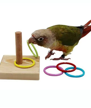 Vogeltraining Ring Speelgoed – Interactief Educatief Speelgoed voor Papegaaien en Vogels