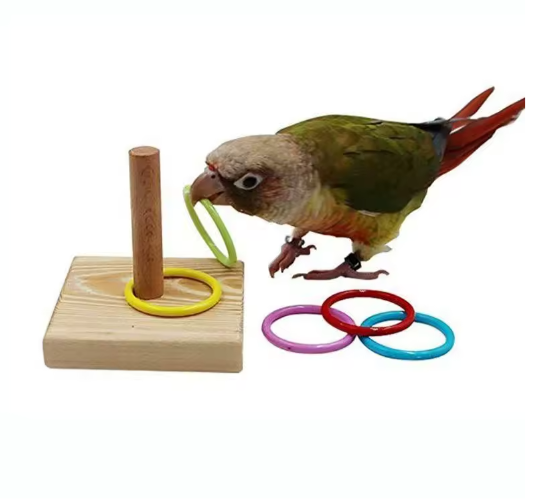Vogeltraining Ring Speelgoed – Interactief Educatief Speelgoed voor Papegaaien en Vogels