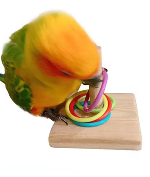 Vogeltraining Ring Speelgoed – Interactief Educatief Speelgoed voor Papegaaien en Vogels