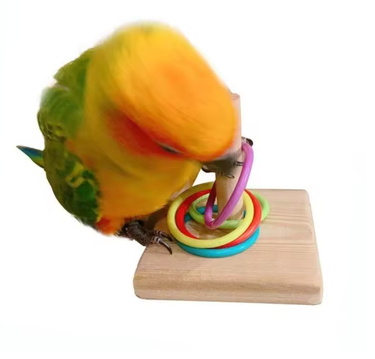 Vogeltraining Ring Speelgoed – Interactief Educatief Speelgoed voor Papegaaien en Vogels