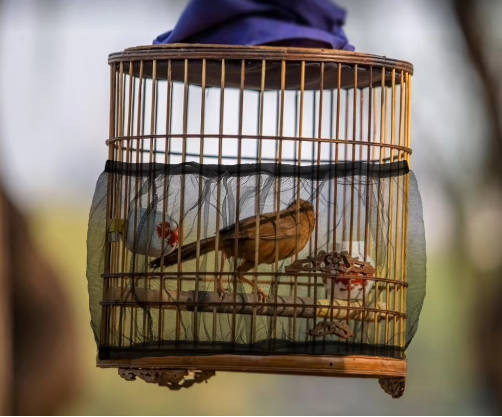 Mesh Vogelkooi Cover – Nylon Zaadvanger en Stofdichte Vogelkooi Bescherming