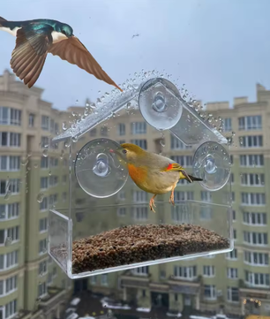 Transparant Vogelvoederhuisje met Zuignappen – Acryl Raam Voederbak voor Buiten