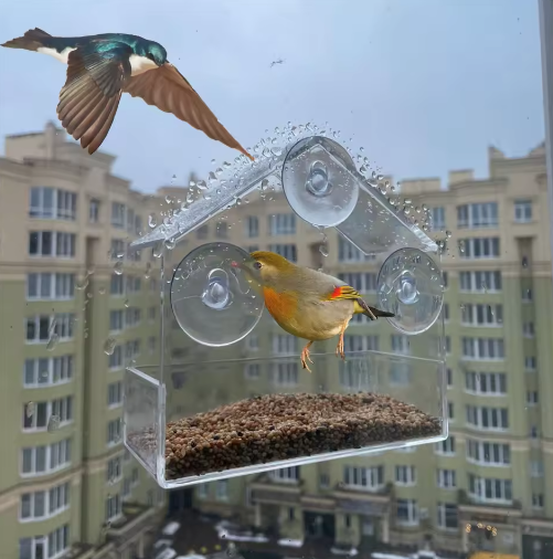 Transparant Vogelvoederhuisje met Zuignappen – Acryl Raam Voederbak voor Buiten