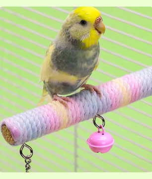 Vogelschommel met Klimtouw en Bel – Houten Speelstandaard voor Papegaaien