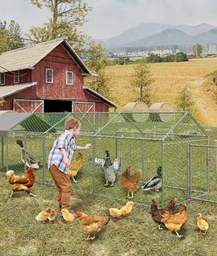 Metalen Kip Ren 4 × 1 × 1 m – Outdoor Pluimvee Ren met Waterdichte UV Cover