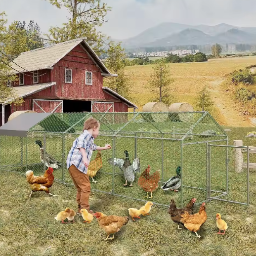 Metalen Kip Ren 4 × 1 × 1 m – Outdoor Pluimvee Ren met Waterdichte UV Cover