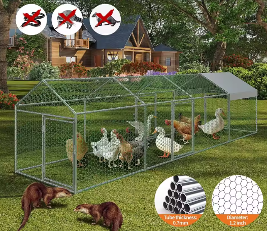 Metalen Kip Ren 4 × 1 × 1 m – Outdoor Pluimvee Ren met Waterdichte UV Cover