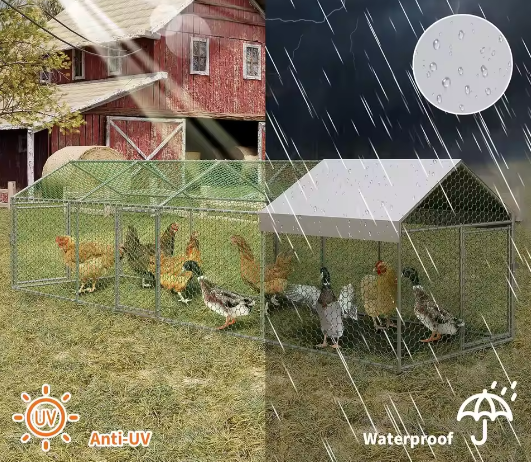 Metalen Kip Ren 4 × 1 × 1 m – Outdoor Pluimvee Ren met Waterdichte UV Cover