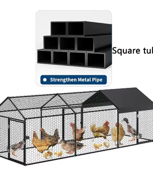 Grote Metalen Kippenren met Waterdichte UV Cover – Outdoor Pluimvee Ren