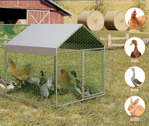 Grote Metalen Kippenren met Waterdichte UV Cover – Outdoor Pluimvee Ren