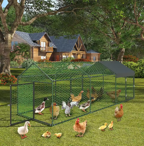 Grote Metalen Kippenren met Waterdichte UV Cover – Outdoor Pluimvee Ren