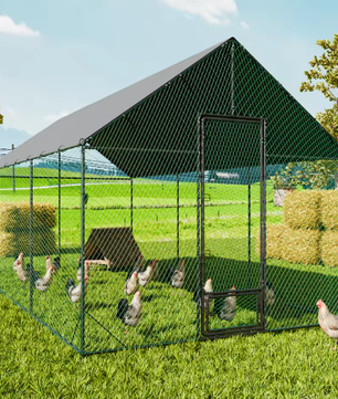 Grote Walk-in Kippenren met Nylon Net en UV Cover – Outdoor Pluimvee Verblijf