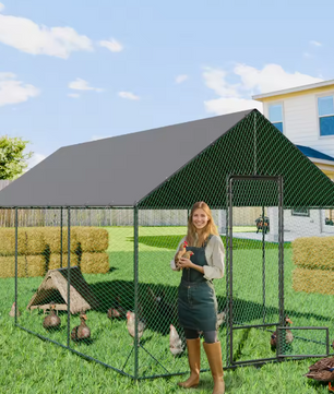 Grote Walk-in Kippenren met Nylon Net en UV Cover – Outdoor Pluimvee Verblijf