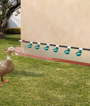 Automatische Kippendrinkerset met 9 Drinkkommen – Gevogelte Watersysteem met Vlotterklep