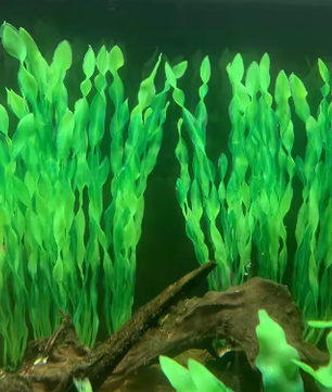 Set Kunstmatige Aquariumplanten – Plastic Zeewier en Watergras Decoratie (5 of 10 Stuks)