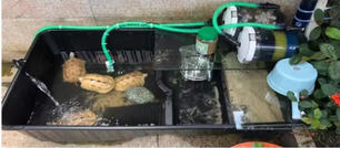 Aquarium Voorfilter Set – 4-delige Filterspons en Filterpatroon voor Externe Filter