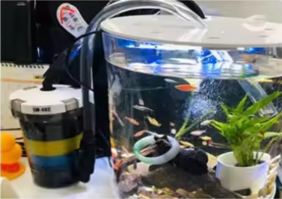 Aquarium Voorfilter Set – 4-delige Filterspons en Filterpatroon voor Externe Filter