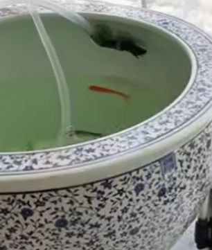 Aquarium Voorfilter Set – 4-delige Filterspons en Filterpatroon voor Externe Filter