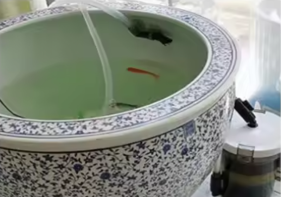 Aquarium Voorfilter Set – 4-delige Filterspons en Filterpatroon voor Externe Filter