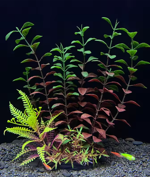 Kunstmatige Aquariumplant – Plastic Onderwaterplant Decoratie voor Aquarium