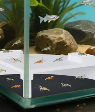 Aquarium Ondergrondse Tunnel – Schuilplaats en Grot Decoratie voor Vissen en Garnalen