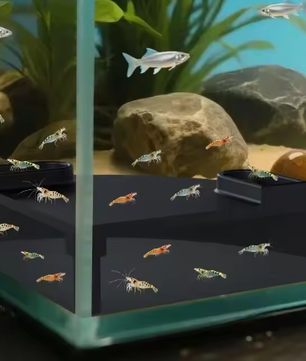 Aquarium Ondergrondse Tunnel – Schuilplaats en Grot Decoratie voor Vissen en Garnalen