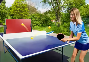 Tafeltennis Rebound Board – 360° Verstelbare Pingpong Rebounder met Rubberen Oppervlak, Zelftraining