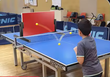 Tafeltennis Rebound Board – 360° Verstelbare Pingpong Rebounder met Rubberen Oppervlak, Zelftraining