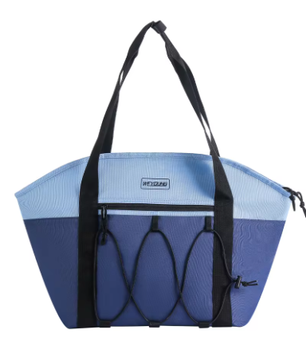 20L Geïsoleerde Lunch Tas – Waterdichte Koeltas voor Outdoor, Camping en Dagelijks Gebruik