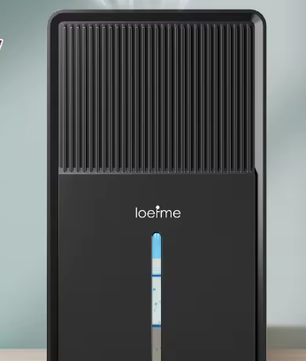 Compacte Luchtontvochtiger 3L – Stil met Luchtreiniging, Droogfunctie en RGB Verlichting