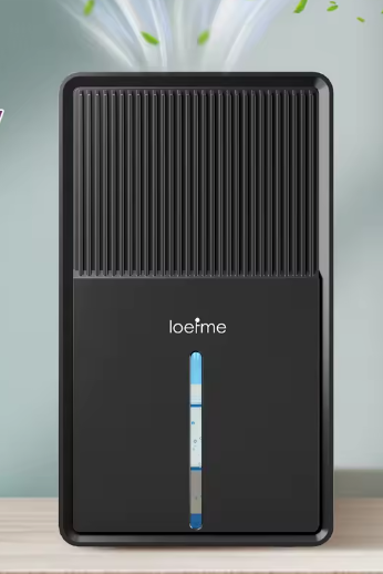 Compacte Luchtontvochtiger 3L – Stil met Luchtreiniging, Droogfunctie en RGB Verlichting