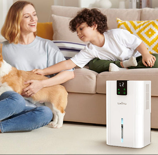 Compacte Luchtontvochtiger 2800 ml – Stil met Touch Display, Timer en RGB Verlichting