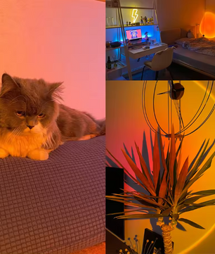 Slimme Zonsondergang Projectorlamp – RGB LED Nachtlamp met App en Afstandsbediening