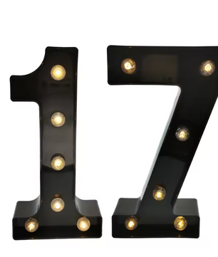 Set van 2 LED Verjaardagsnummers – Verlichte Cijfer Decoratie voor Feest en Jubileum