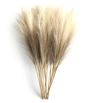 Set van 6 Kunstmatige Pampas Gras Takken – Decoratieve Droogbloemen voor Woondecoratie