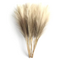 Set van 6 Kunstmatige Pampas Gras Takken – Decoratieve Droogbloemen voor Woondecoratie