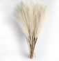 Set van 6 Kunstmatige Pampas Gras Takken – Decoratieve Droogbloemen voor Woondecoratie